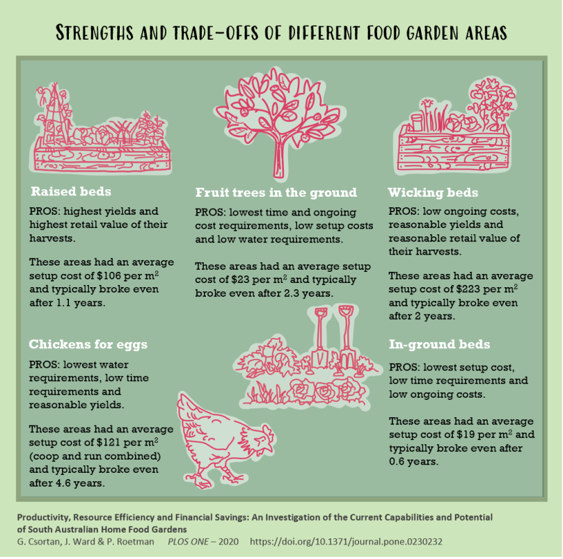 Strengths and trade-offs of different food garden areas - 2020